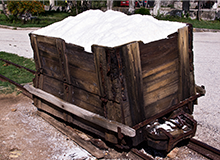 Would you like some salt?